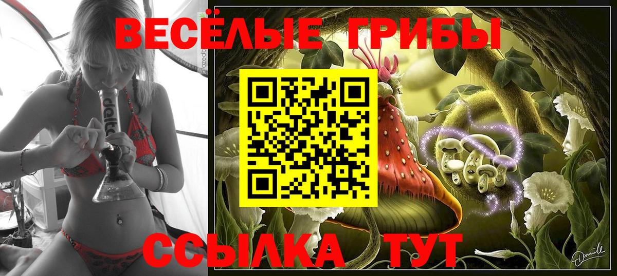 Псилоцибиновые грибы мицелий Кимры